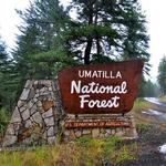 Umatilla National Forest