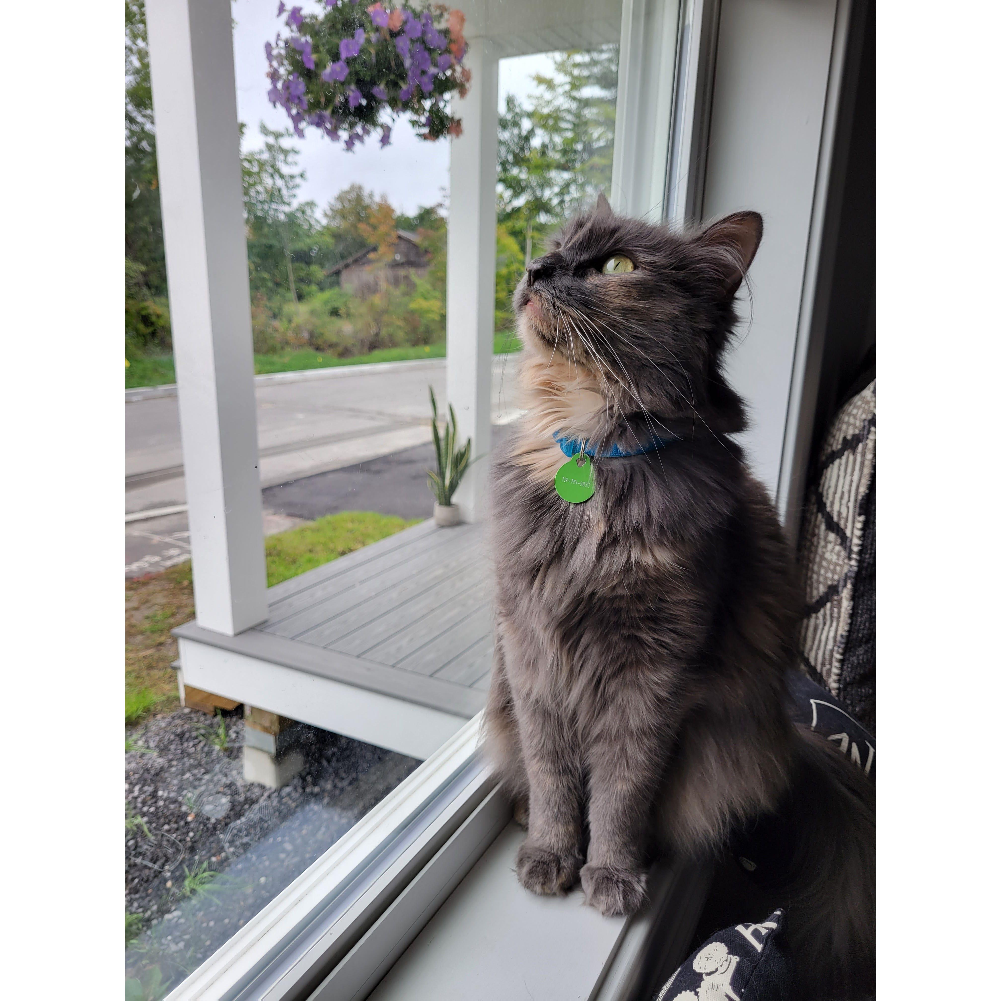 Artemis, our princess