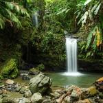 El Yunque National Forest