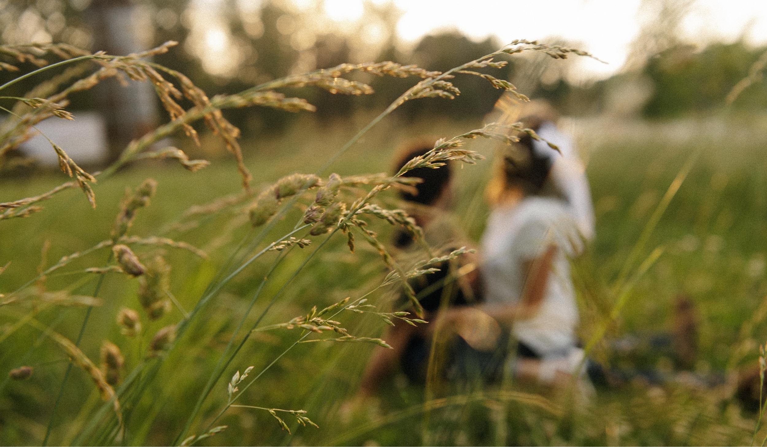 The Wedding Website of Rachel Phillips and Nathan McKee