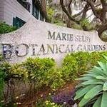 Marie Selby Botanical Gardens Downtown Sarasota campus