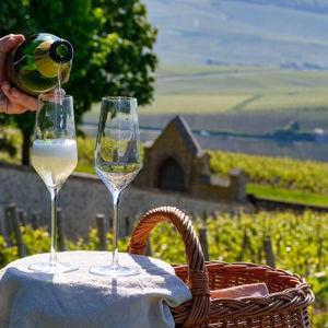 Day Trip to Champagne Region