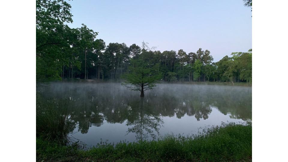 The Wedding Website of Byron Hatch and Mai Lan Vo