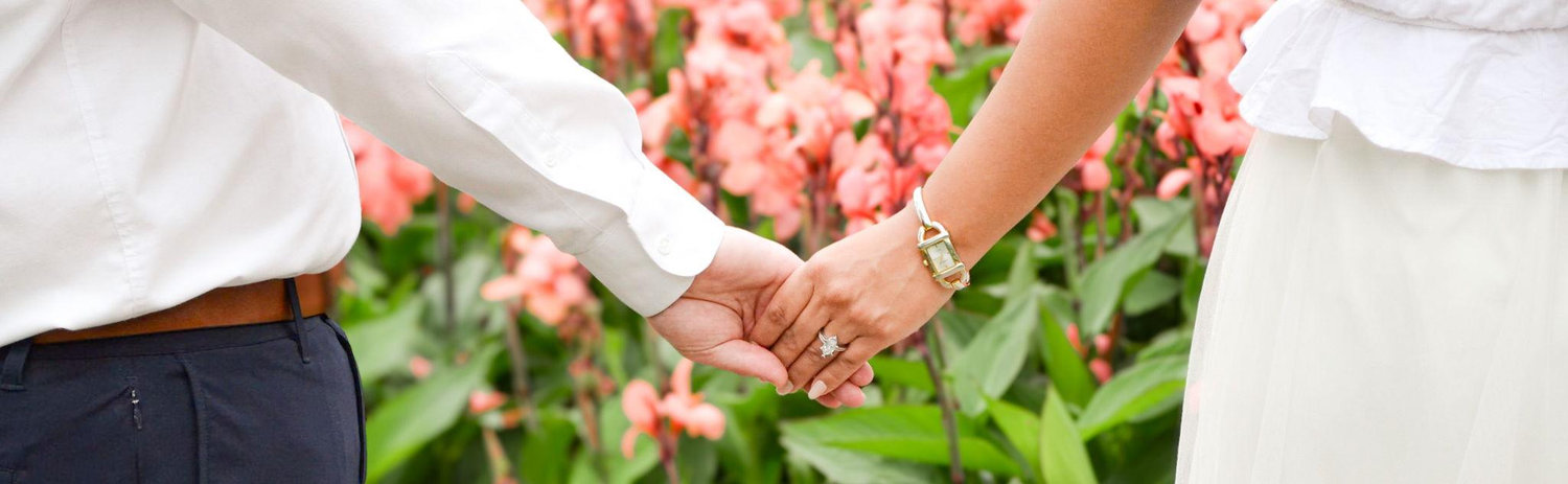 The Wedding Website of Alyssa (Ally) Trujillo and David Carey