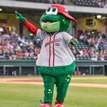 Greenville Drive