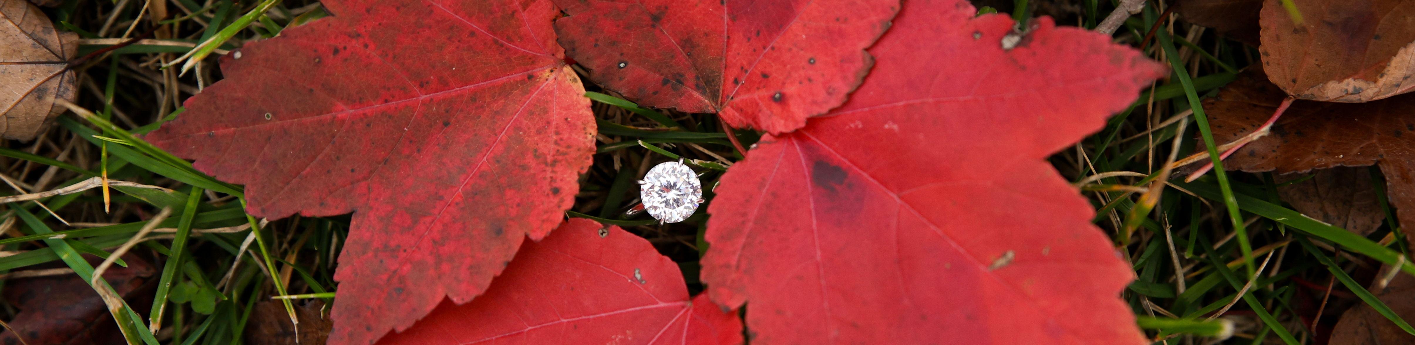 The Wedding Website of Haleigh DeVido and Elliott Courtney