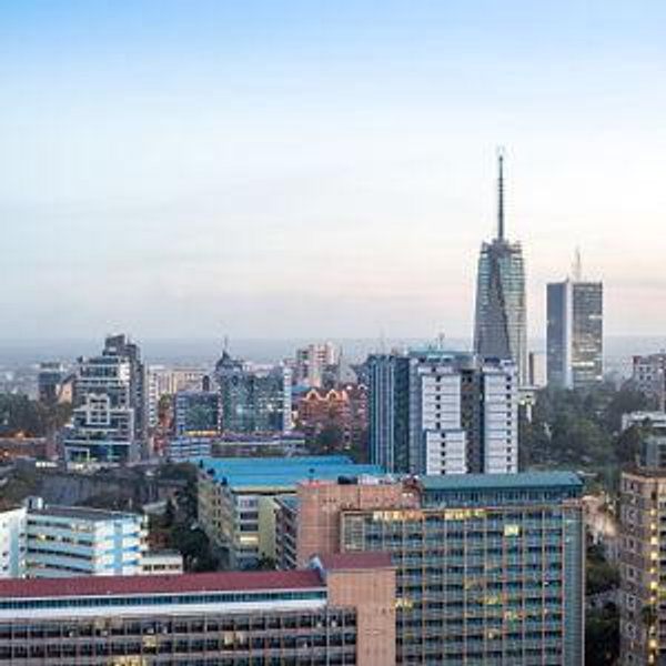Day exploring Nairobi and Dinner