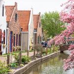 Dutch Village Downtown