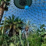Mitchell Park Horticultural Conservatory