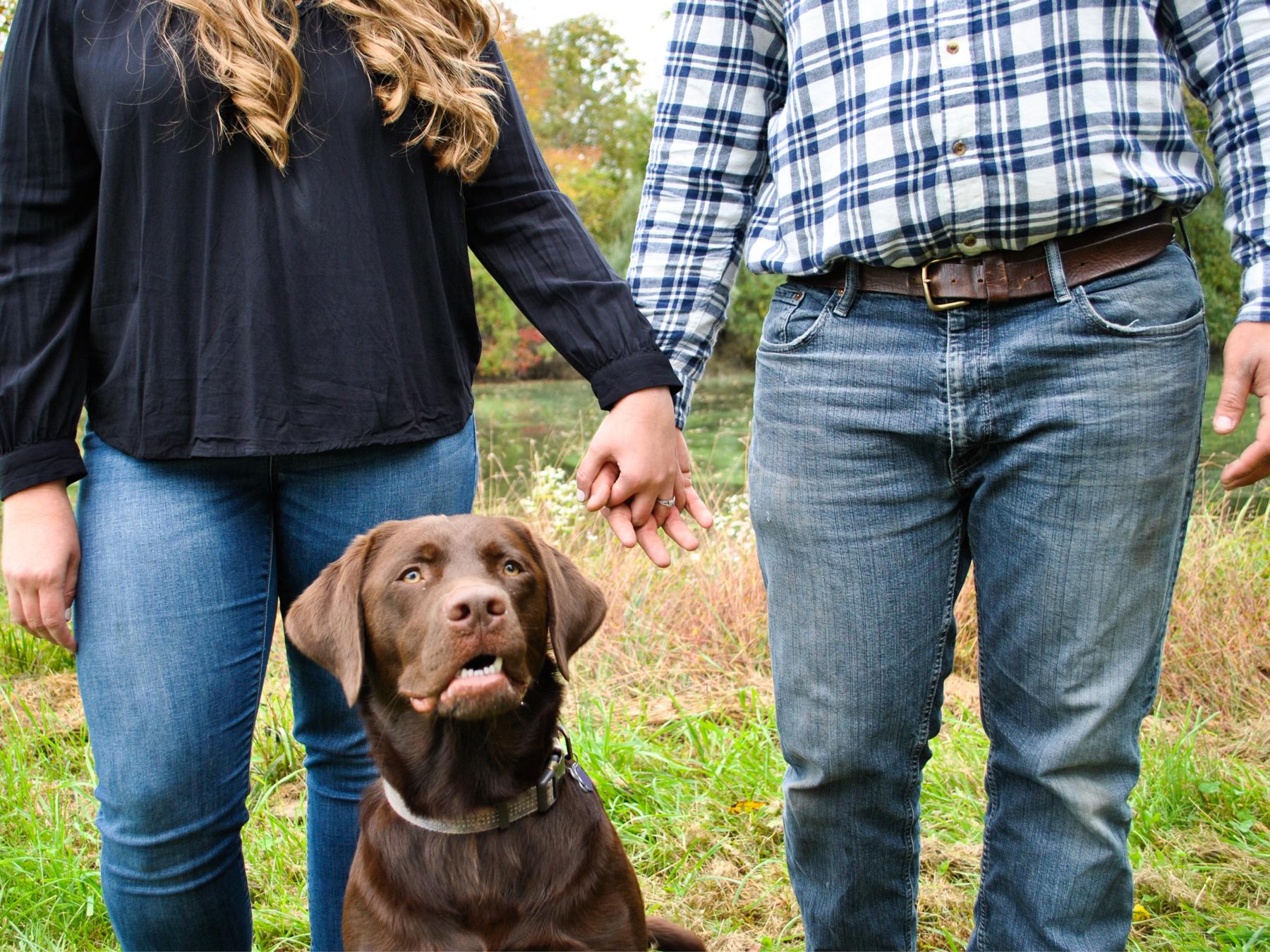The Wedding Website of Kristin Wessner and Brad Neikam
