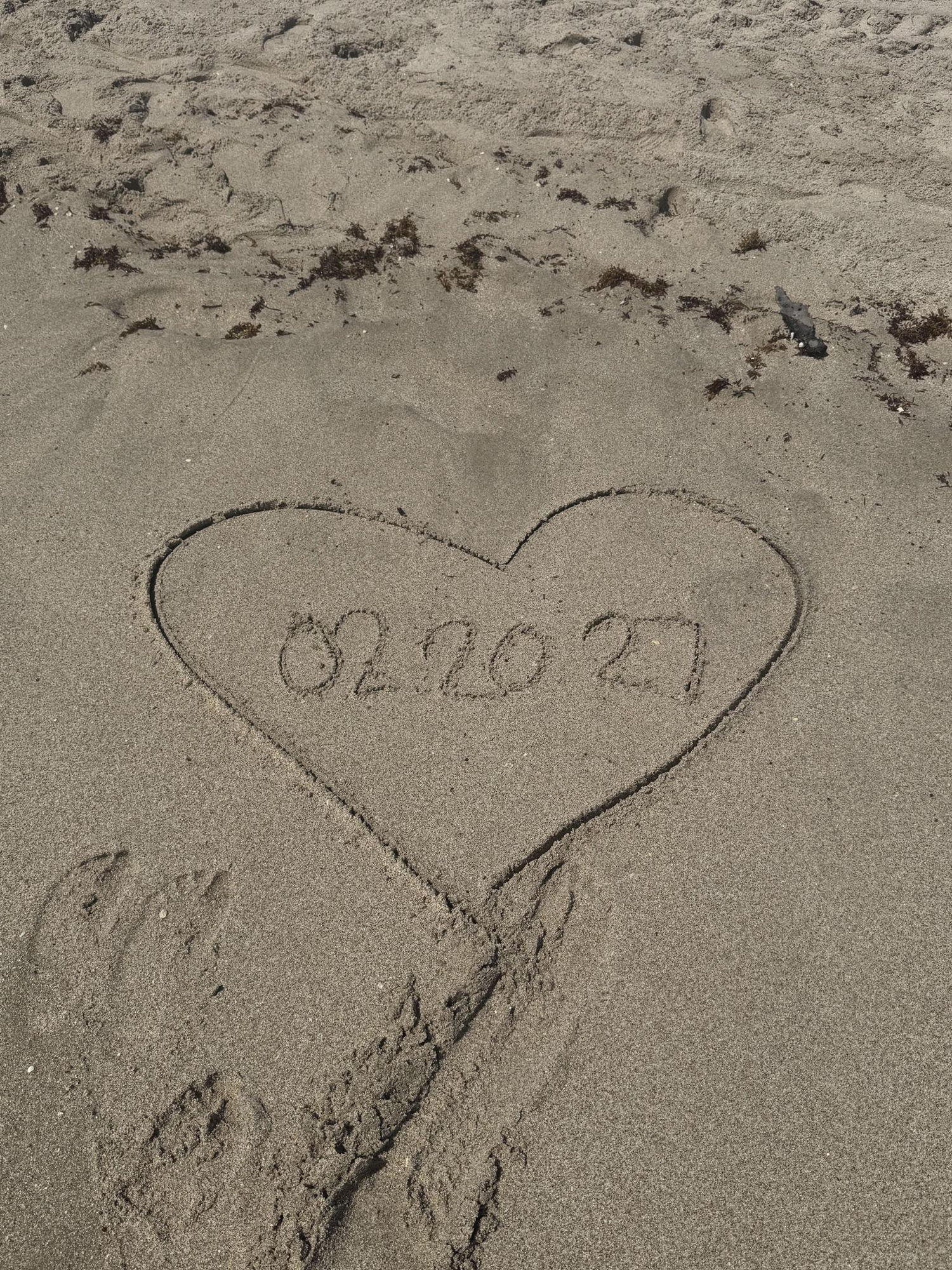 The Wedding Website of Karen Perez and Antonio Menendez
