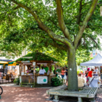 City Market
