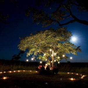Dinner in the African Bush
