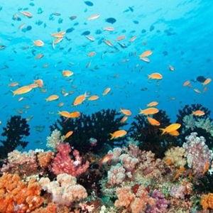 Snorkeling in Mallorca, Spain