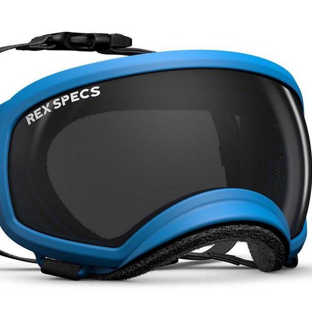 Rex Specs Dog Goggles