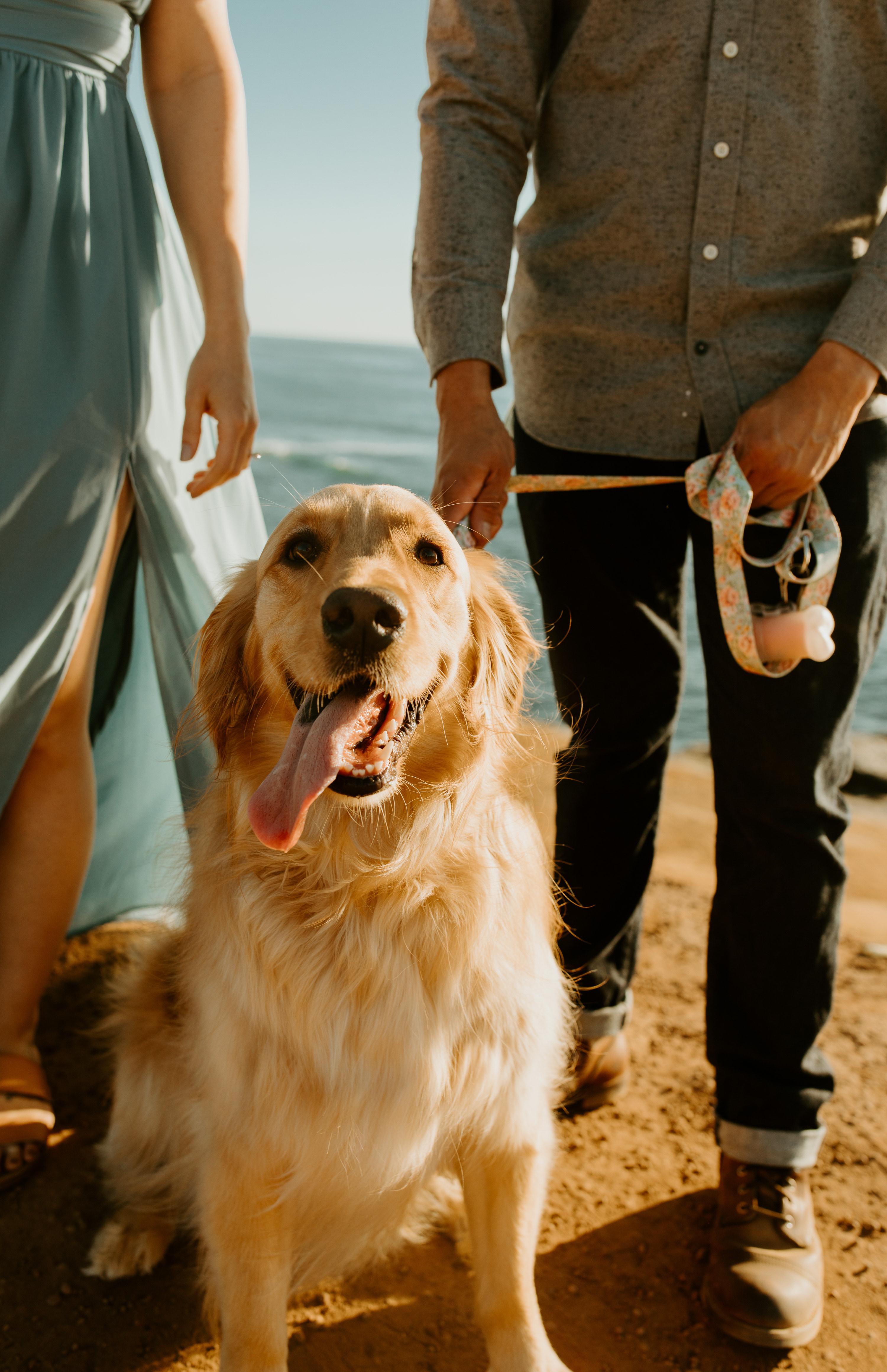 The Wedding Website of Danielle Clark and Louie Mendoza