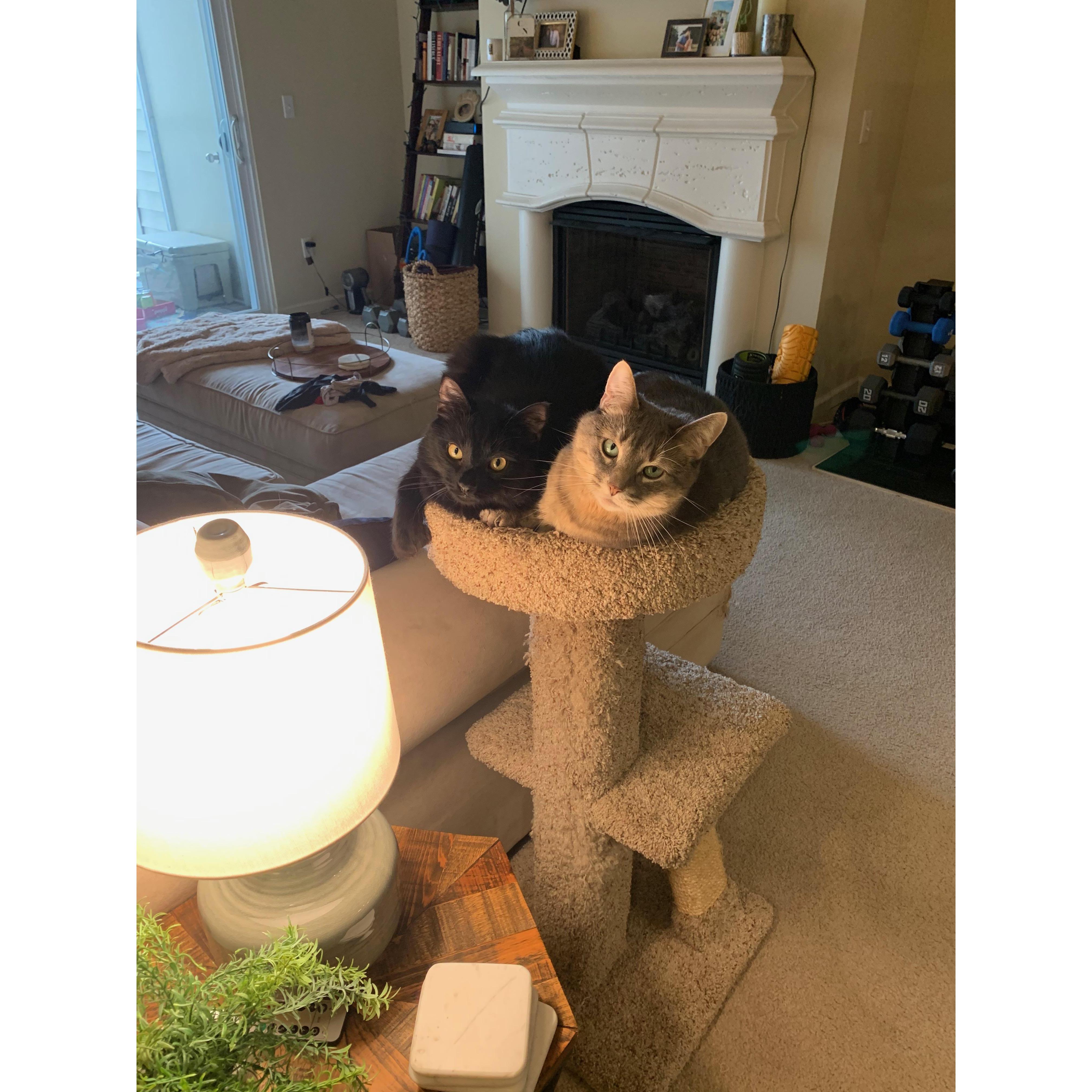 Gus & Winnie : )