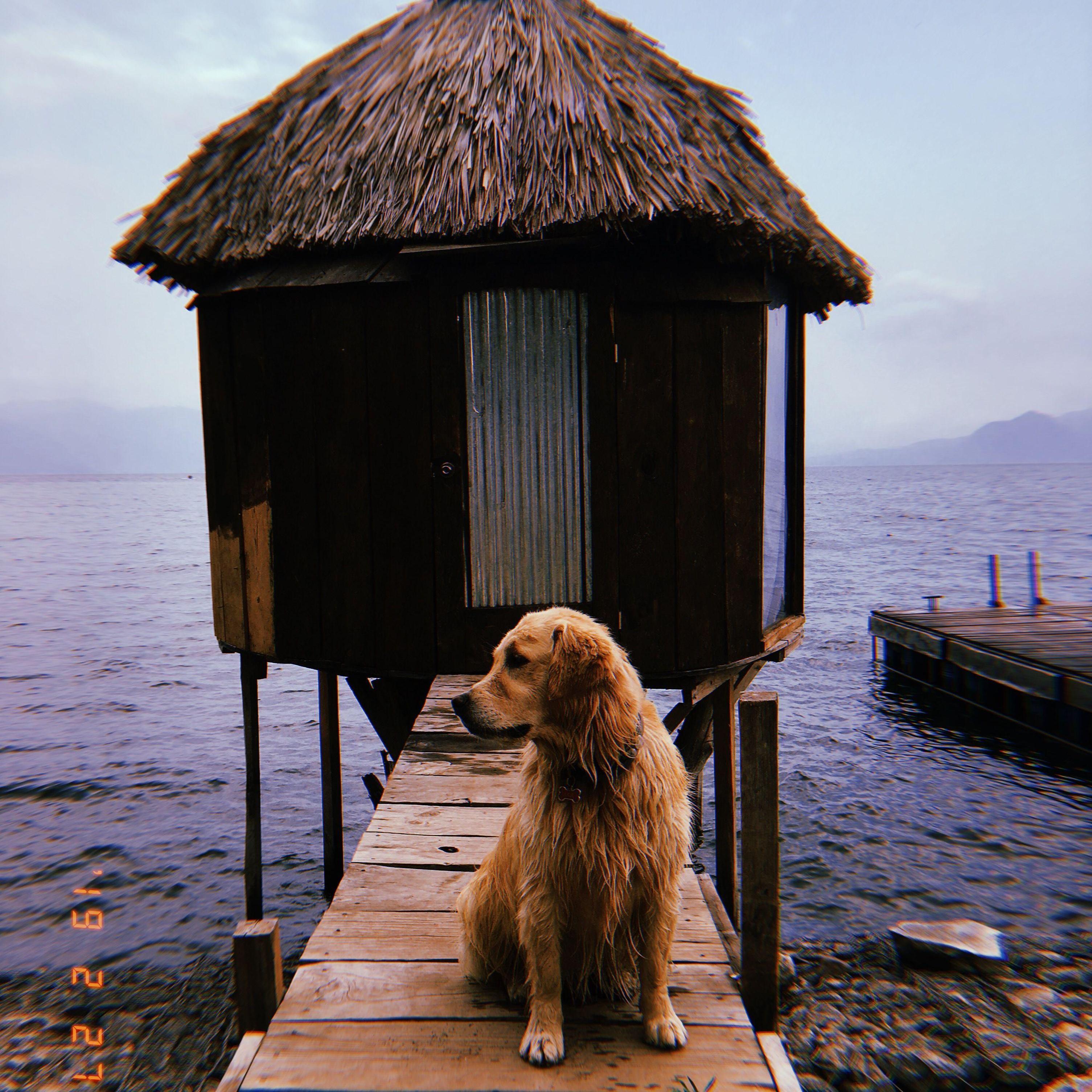 Lake Atitlan Local