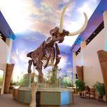 The Bishop Museum of Science and Nature