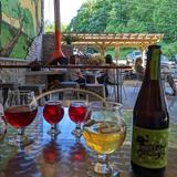 Molley Chomper Hard Cider