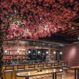 The Velvet Hippo Bar & Lounge