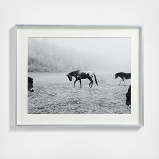 Brushed 18x24 Wall Picture Frame