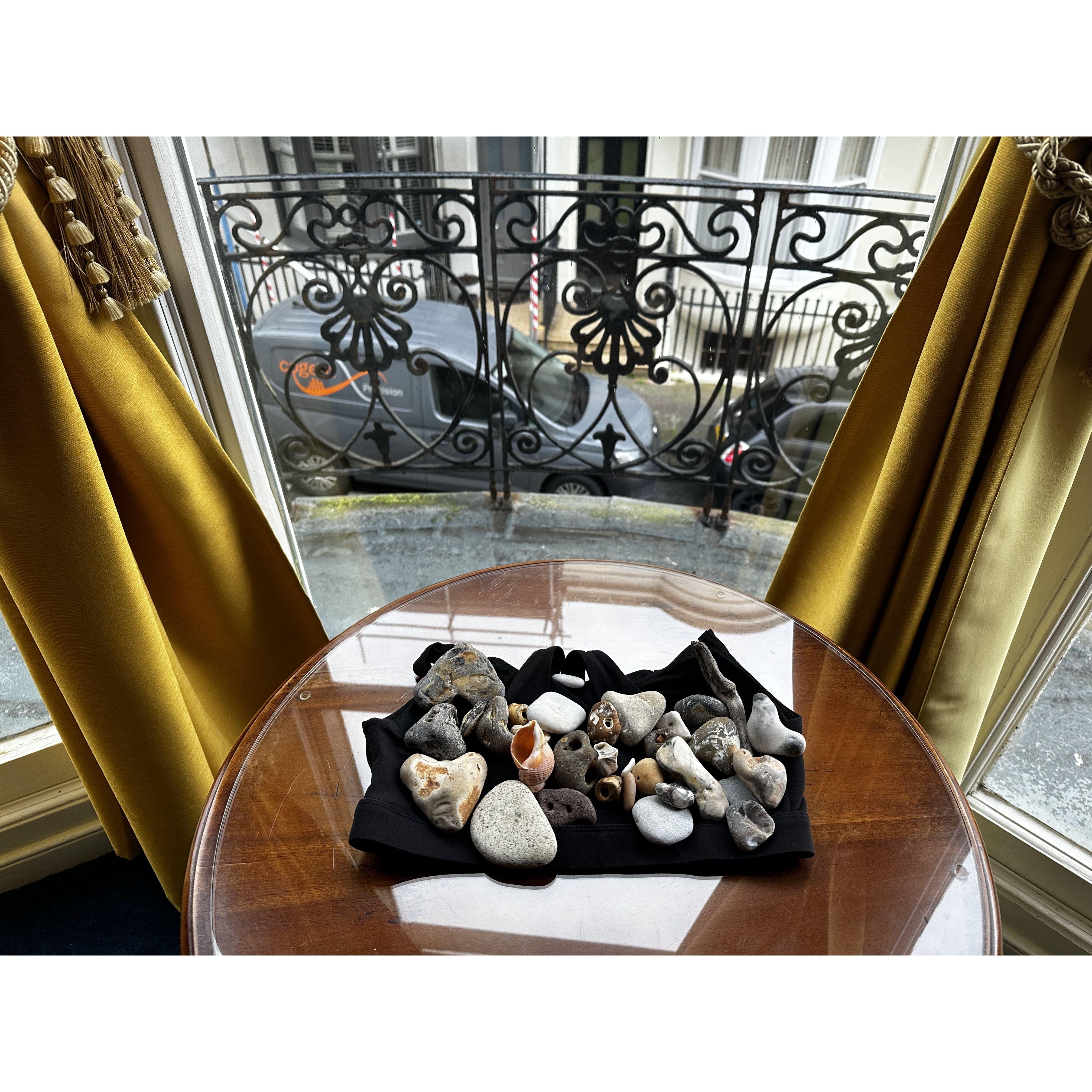 Good rocks and shells collected together in Brighton. :)