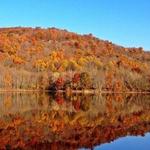 Garret Mountain Reservation