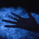 Bahía Bioluminiscente