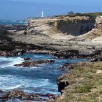 Point Arena-Stornetta Public Lands