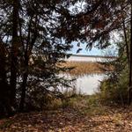Kangaroo Lake Nature Preserve