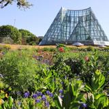 San Antonio Botanical Garden