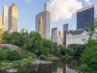 Central Park