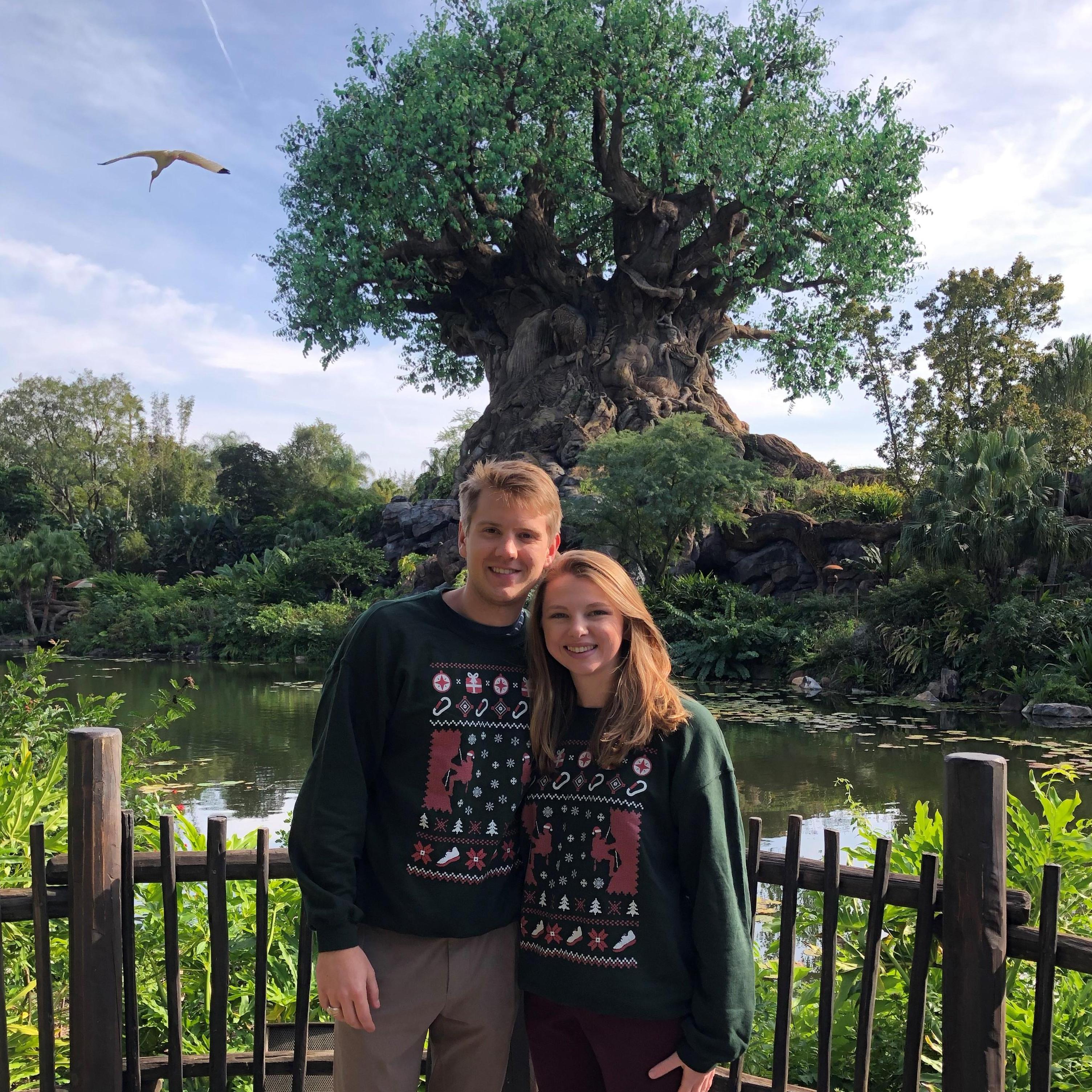 Tree of Life at Animal Kingdom