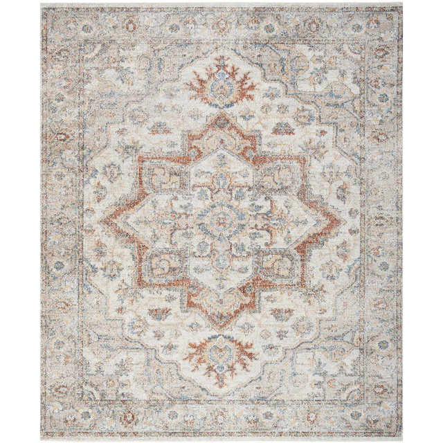 Nourison Home Astra Machine Washable ASW12 7'10" x 10' Area Rug
