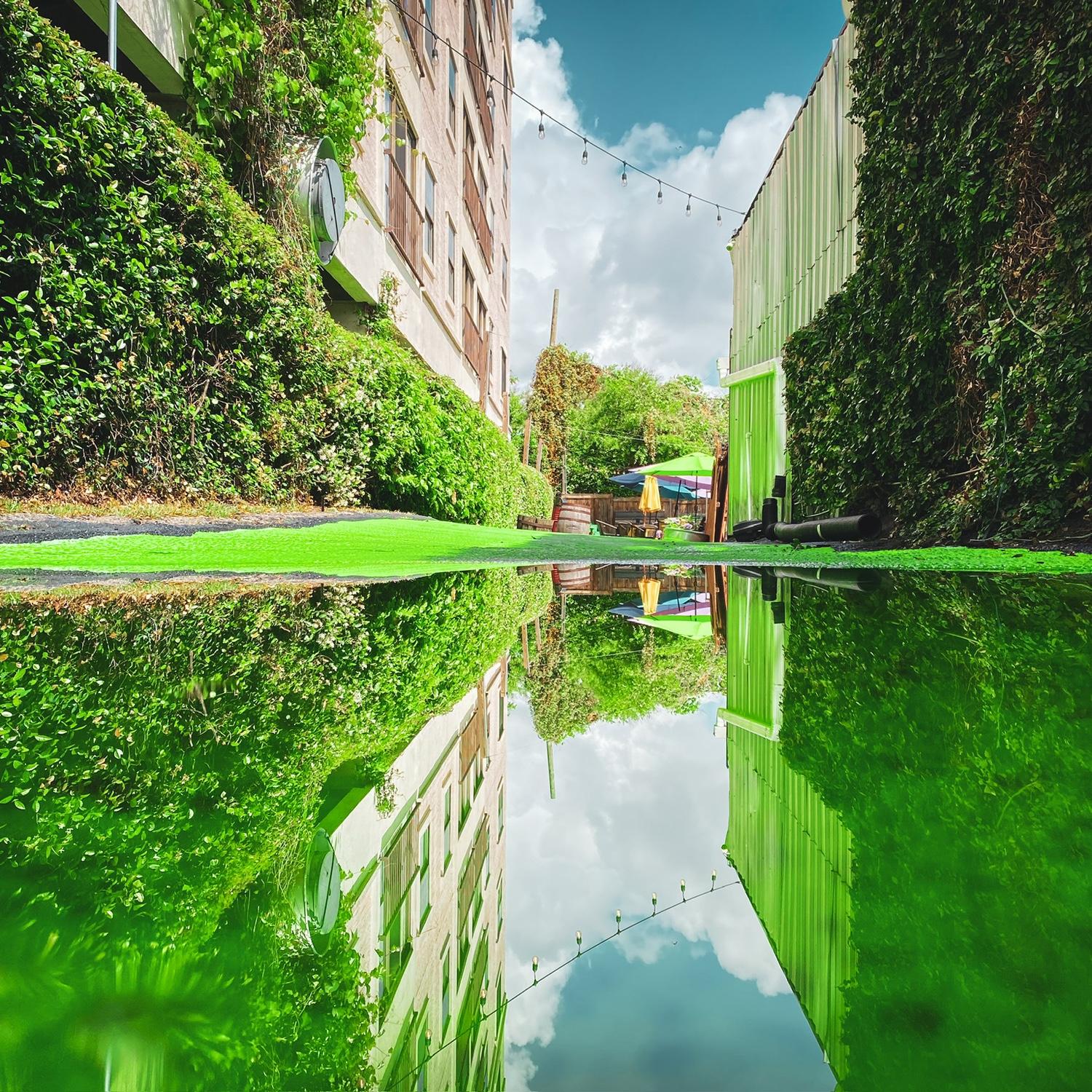 Gorgeous photo captured by Kaine of an alley in Columbia, South Carolina
