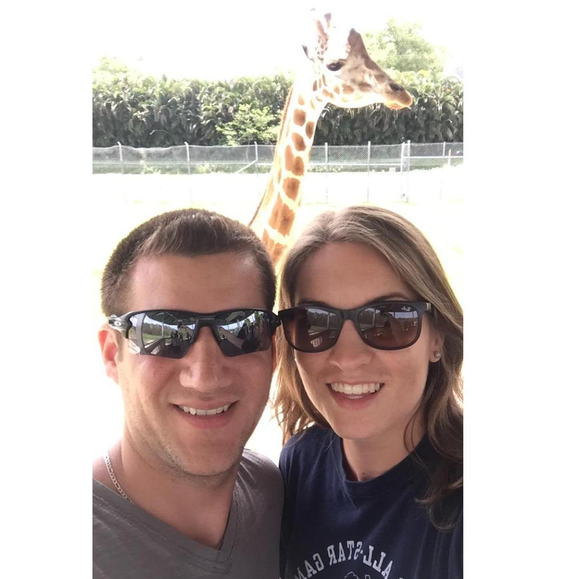 Lion Country Safari in Florida