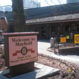 Mayfield Dairy Tours