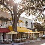 Park Ave / Downtown Winter Park