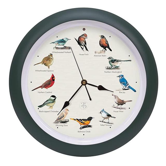 Mark Feldstein & Associates The Original Singing Bird Clock 25th Anniversary Edition, As Seen On TV (13 Inch, Matte Green)