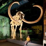 Nevada State Museum