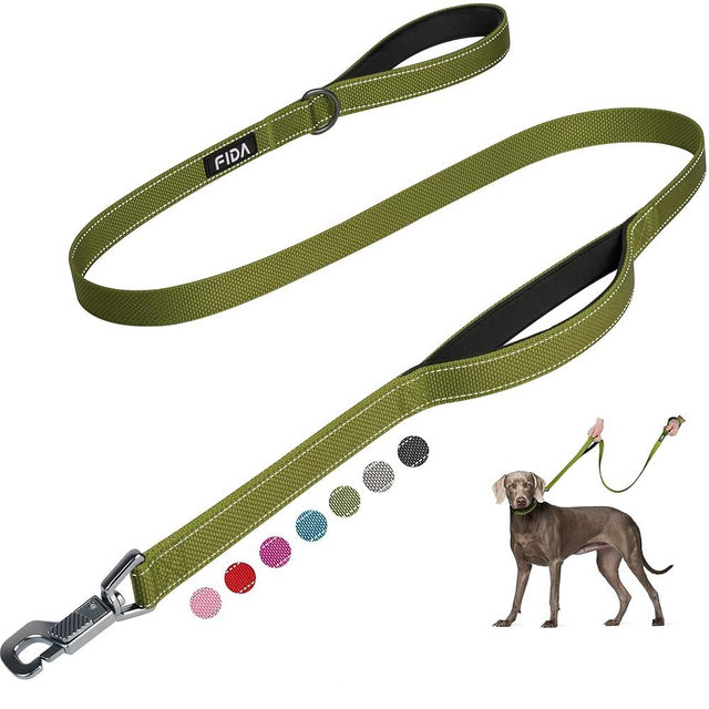 Fida 4 FT Heavy Duty Dog Leash with 2 Comfortable Padded Handles, Traffic Handle & Advanced Easy Snap Hook, Reflective Walking Lead for Large, Medium & Small Breed Dogs, Green