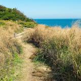 Clayhead Trail