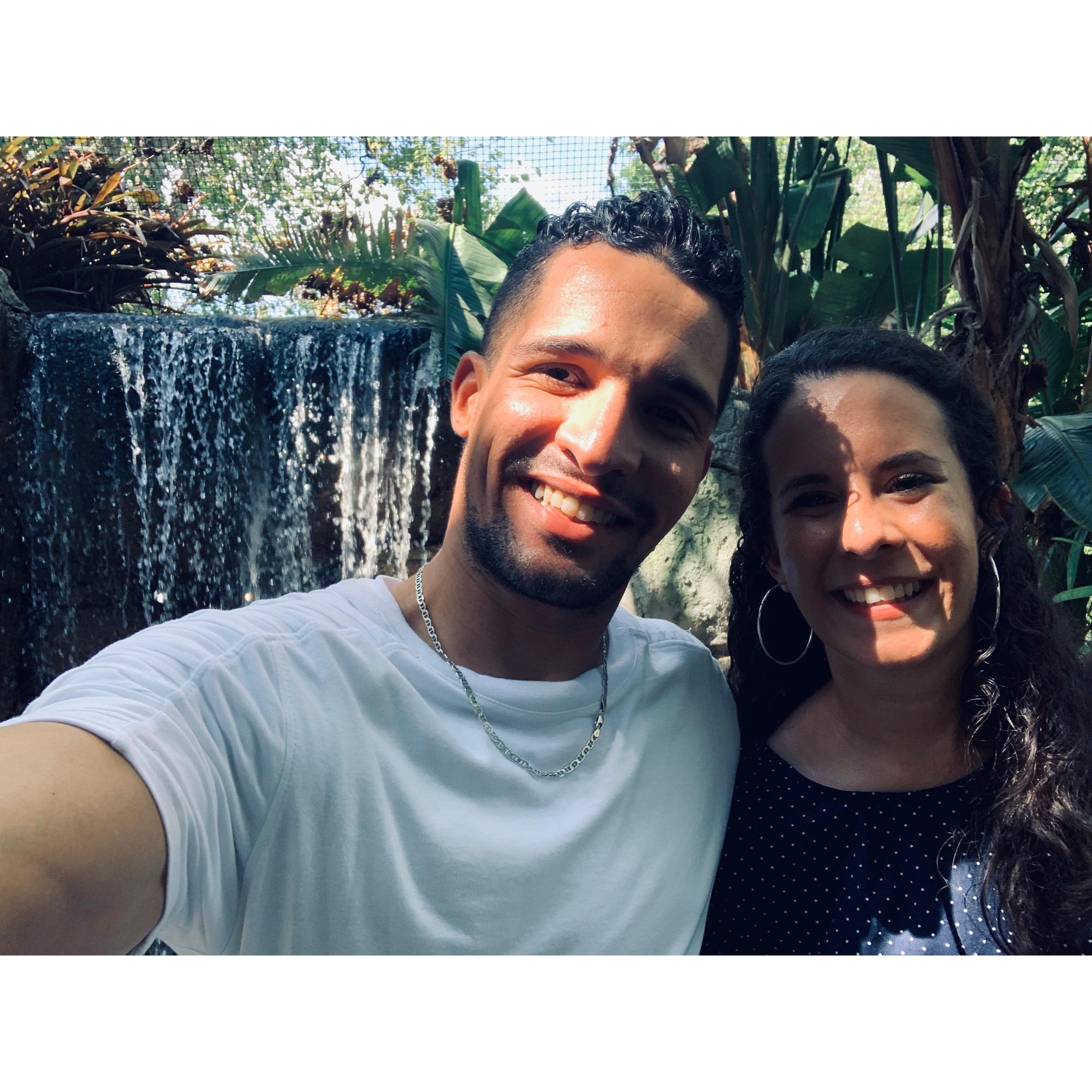 Trip to the Zoo