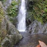 Goldstream Provincial Park