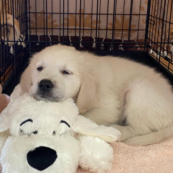 Butter’s Sibling Fund