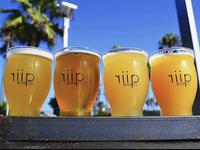 Riip Beer Co