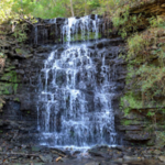 Cove Spring Park