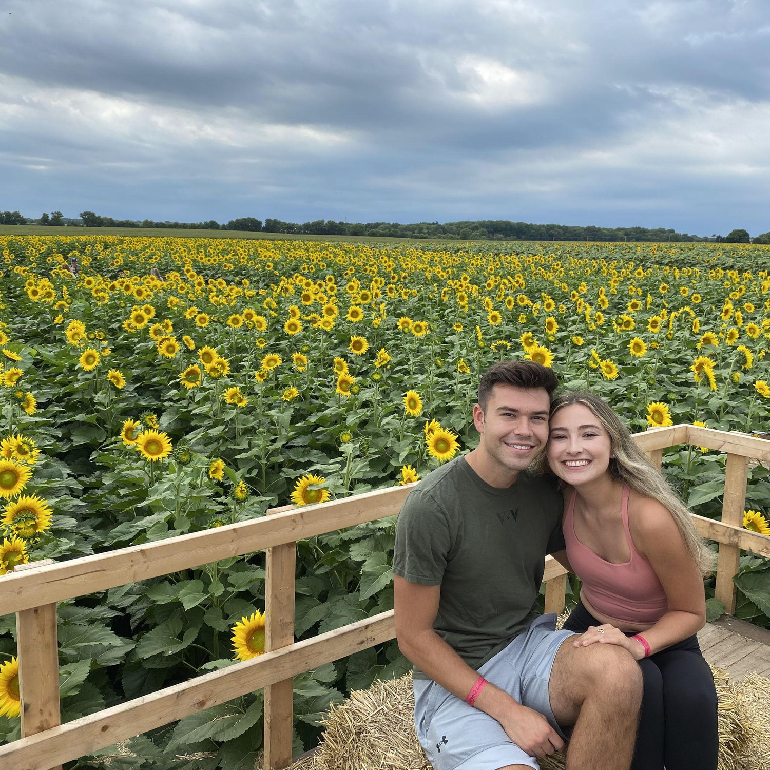 August 2022: Sunflower field date.