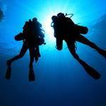 Scuba Diving